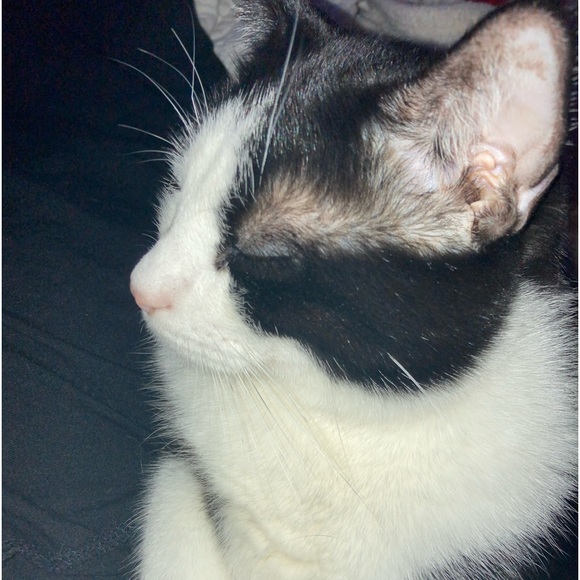 ‼️Allergy alert‼️ - Picture 1 of 4